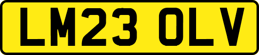 LM23OLV