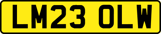 LM23OLW