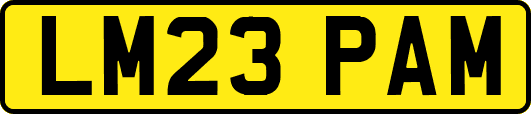 LM23PAM