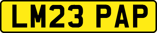 LM23PAP