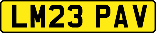 LM23PAV