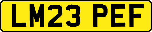 LM23PEF