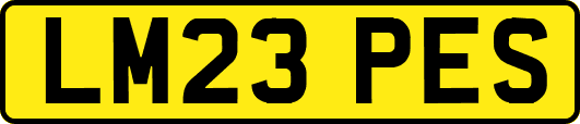 LM23PES