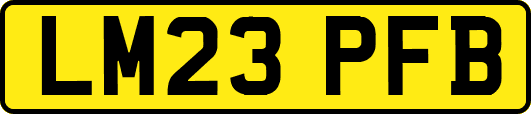 LM23PFB