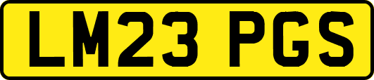 LM23PGS