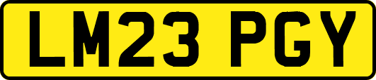 LM23PGY