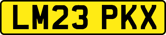 LM23PKX
