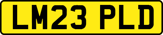 LM23PLD
