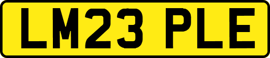 LM23PLE