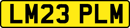 LM23PLM