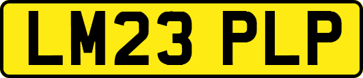 LM23PLP