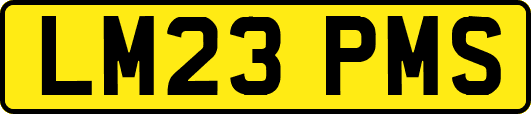 LM23PMS