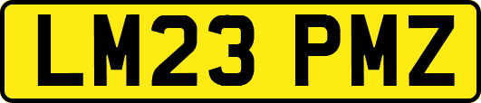 LM23PMZ
