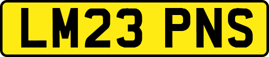 LM23PNS