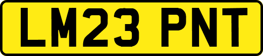 LM23PNT