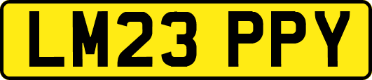LM23PPY