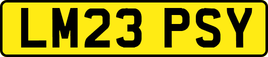 LM23PSY