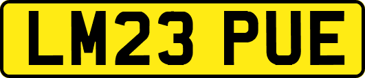 LM23PUE