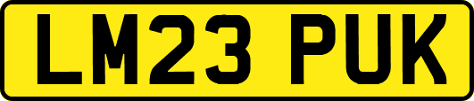 LM23PUK