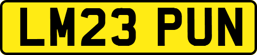 LM23PUN