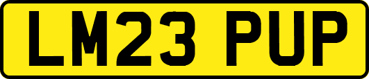 LM23PUP