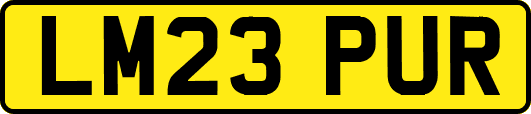 LM23PUR