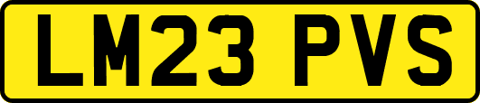 LM23PVS