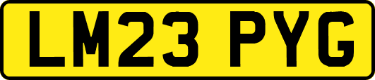 LM23PYG