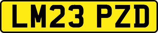 LM23PZD