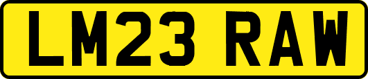 LM23RAW