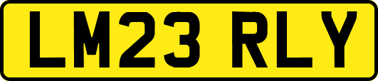 LM23RLY
