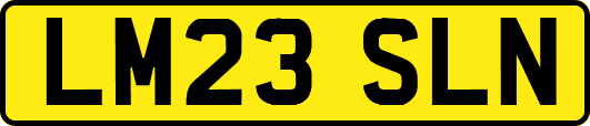 LM23SLN