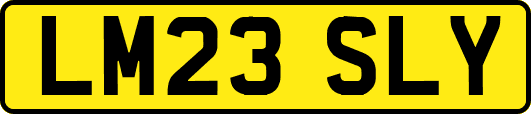 LM23SLY