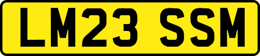 LM23SSM