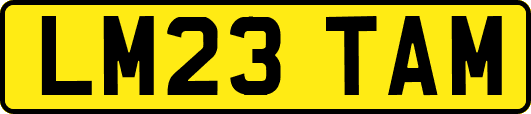 LM23TAM