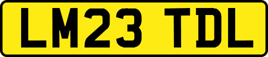 LM23TDL