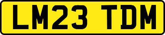 LM23TDM