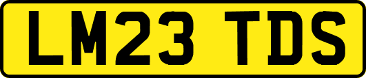 LM23TDS
