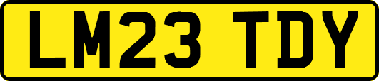 LM23TDY