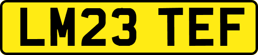 LM23TEF