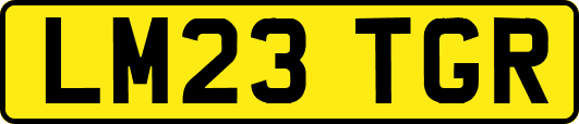 LM23TGR