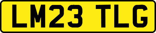 LM23TLG