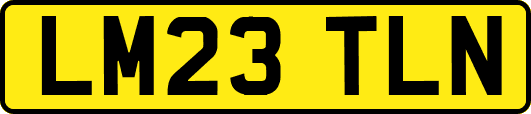 LM23TLN
