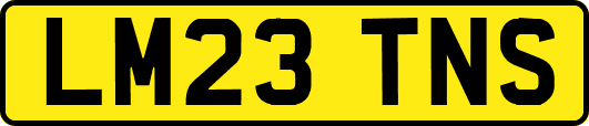 LM23TNS