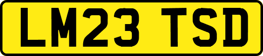 LM23TSD