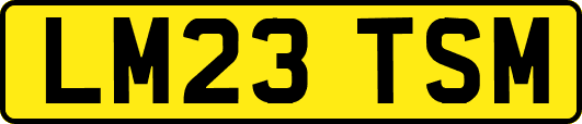 LM23TSM