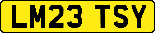 LM23TSY