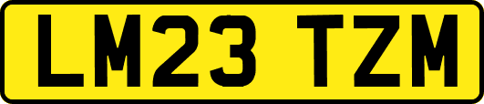 LM23TZM