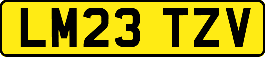 LM23TZV