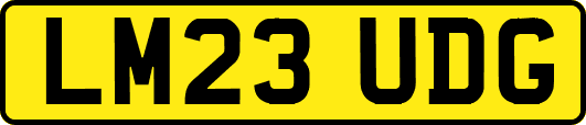 LM23UDG